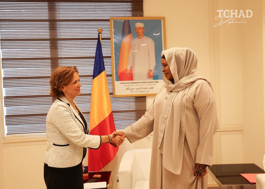 الوزيرة المنتدبة للشؤون الخارجية تستقبل ممثلة برنامج الأغذية العالمي بتشاد