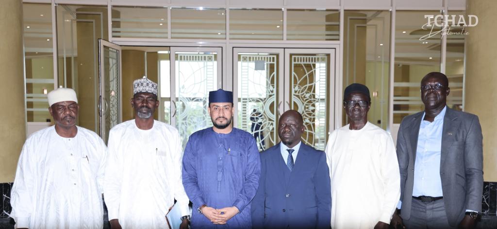 Déplacements des ONG à l’Est du Tchad : une réunion interministérielle pour harmoniser les procédures