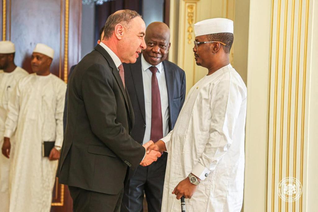 رئيس الجمهورية يستقبل المكلف بتسيير شؤون وزارة الخارجية والتعاون الدولي في حكومة الوحدة الوطنية الليبية