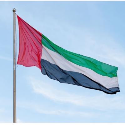 الإمارات تدين الهجوم الذي استهدف القوات المسلحة في تشاد